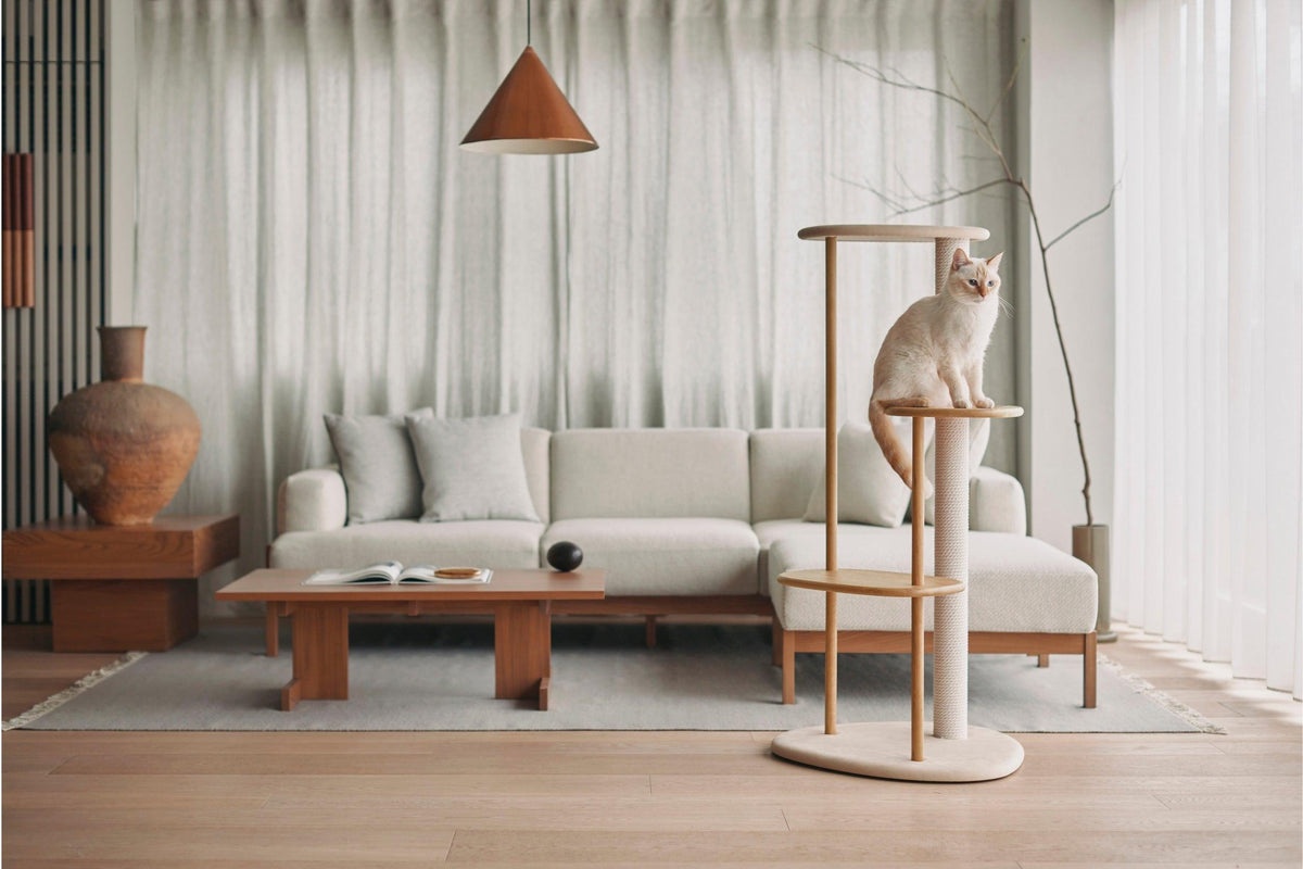 Japandi Cat-Interior Design
