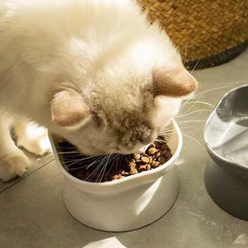 Minimalistic Pet Food Bowl