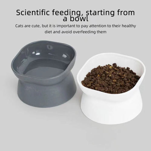 Minimalistic Pet Food Bowl